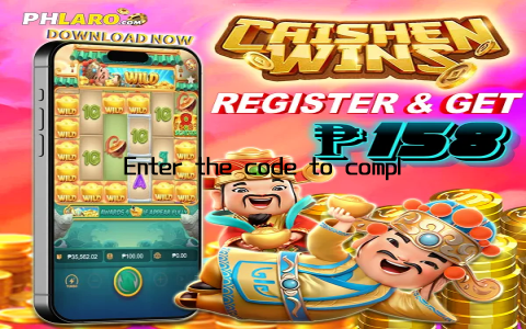 Enter the code to complete the login process